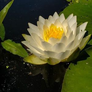 Meet your Posher, Deborah